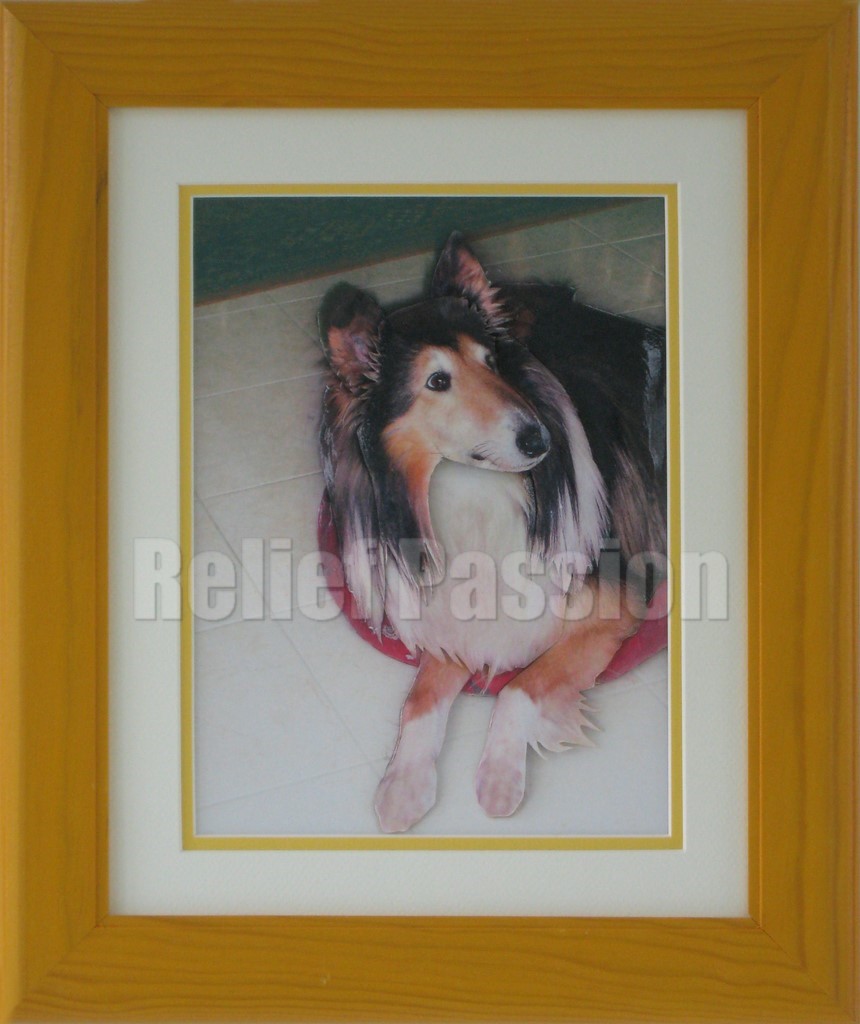 ANI62010-Ikho-(30x40)