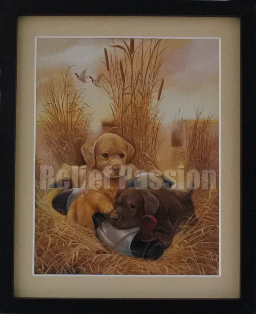 ANI82020-Chiots & Canards-(24x30)