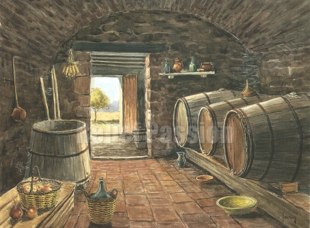 Cave et tonneaux (24x30)
