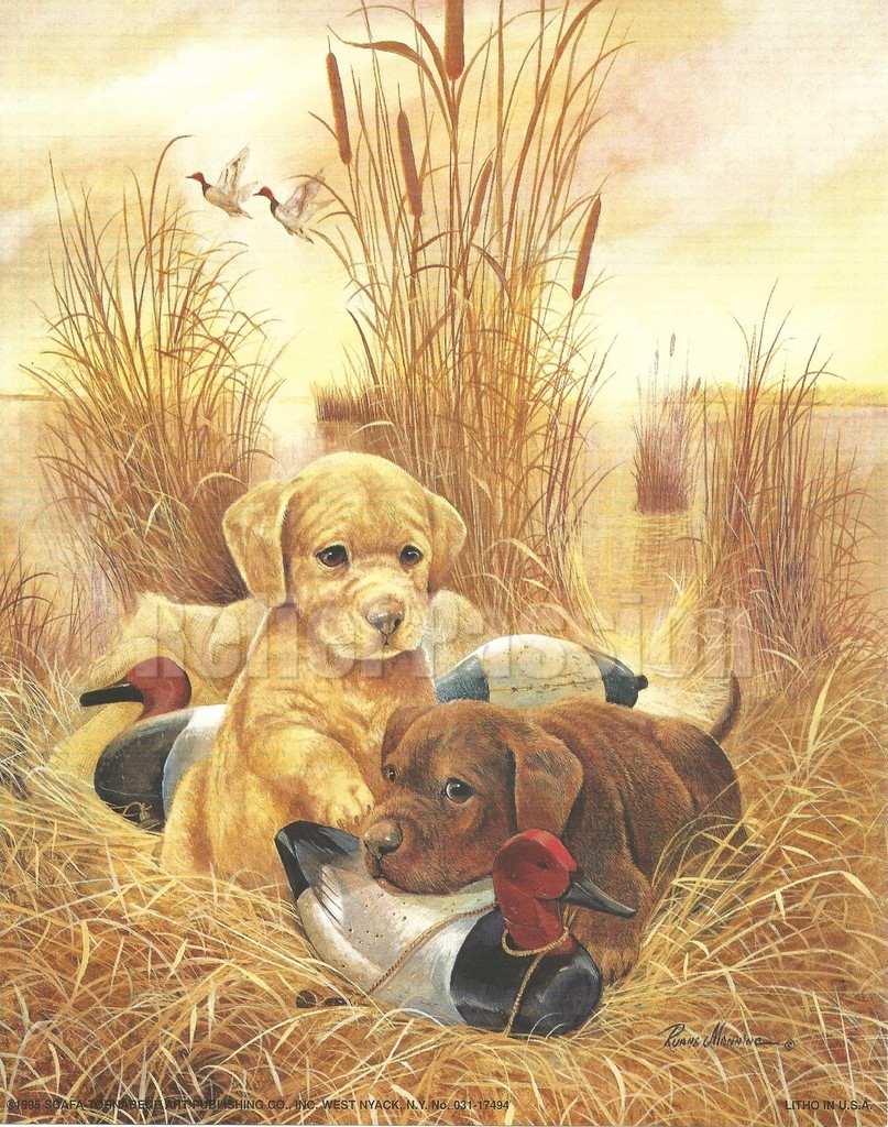 Chiots et canards (20x25)