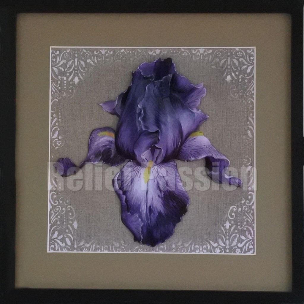 FLE112021-Iris-(40x40)