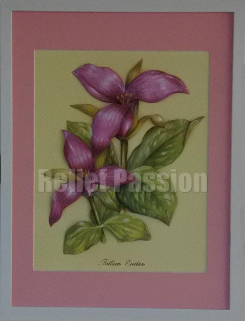 FLE122022-Trillium Erectum-(30x40)