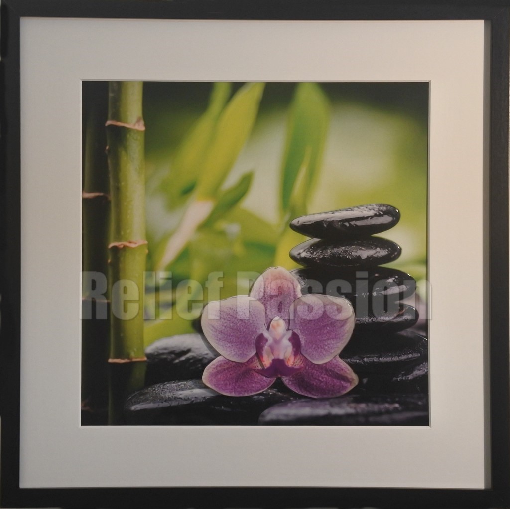 ZEN22017-Galets et Orchidés-(40x40)