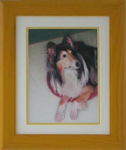 ANI62010-Ikho-(30x40)