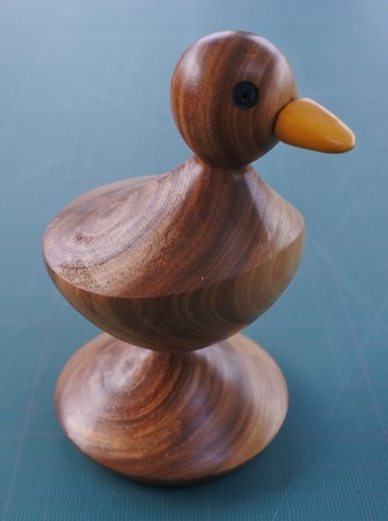 Canard