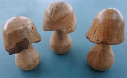Champignons