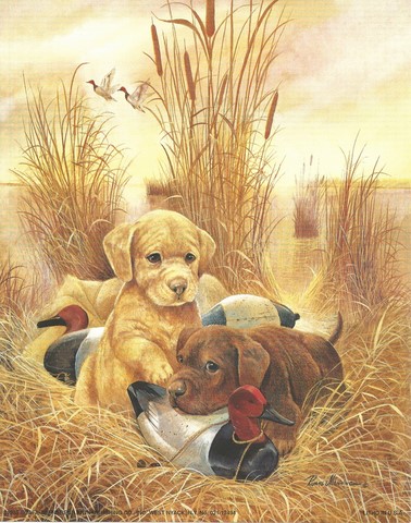 Chiots et canards (20x25)