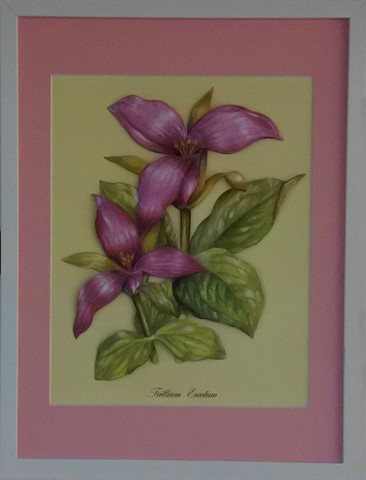 FLE122022-Trillium Erectum-(30x40)