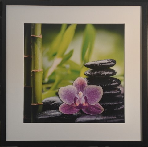 ZEN22017-Galets et Orchidés-(40x40)