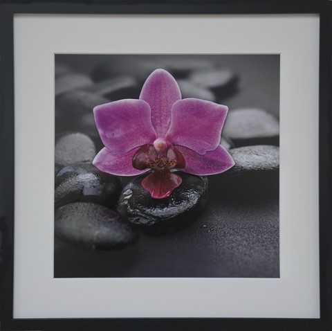 ZEN42017-Galets à l'Orchidé-(40x40)